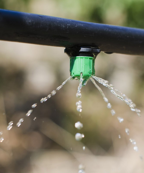 a drip irrigation repair in Dakota Ridge done by our experts
