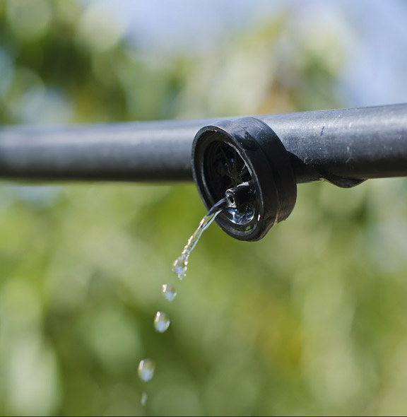 our pros worked on a drip irrigation repair in Applewood