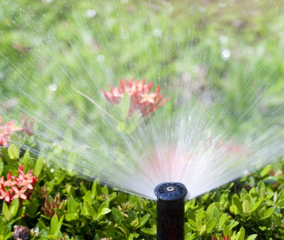 our dedicated team finished this lawn irrigation repair