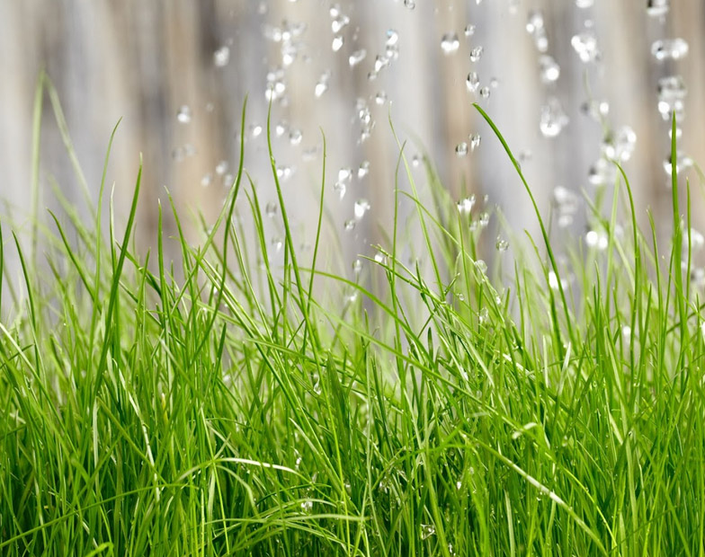 why does my sprinkler spray mist instead of a steady stream?